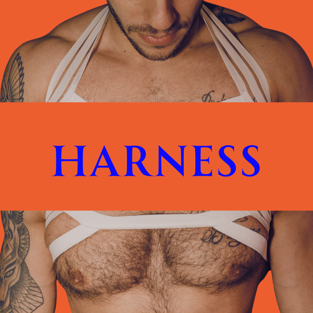 Harness