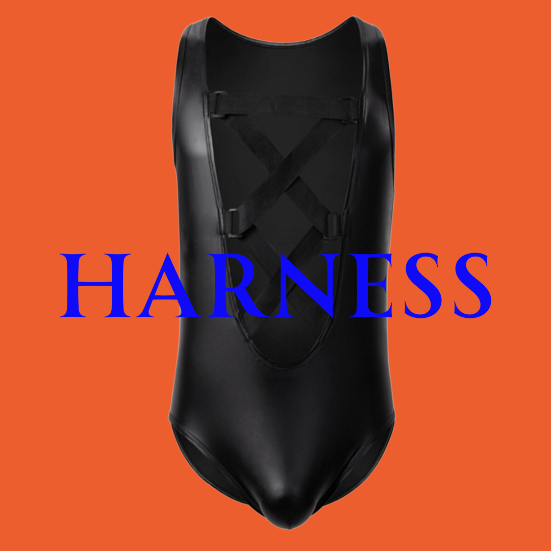 Harness