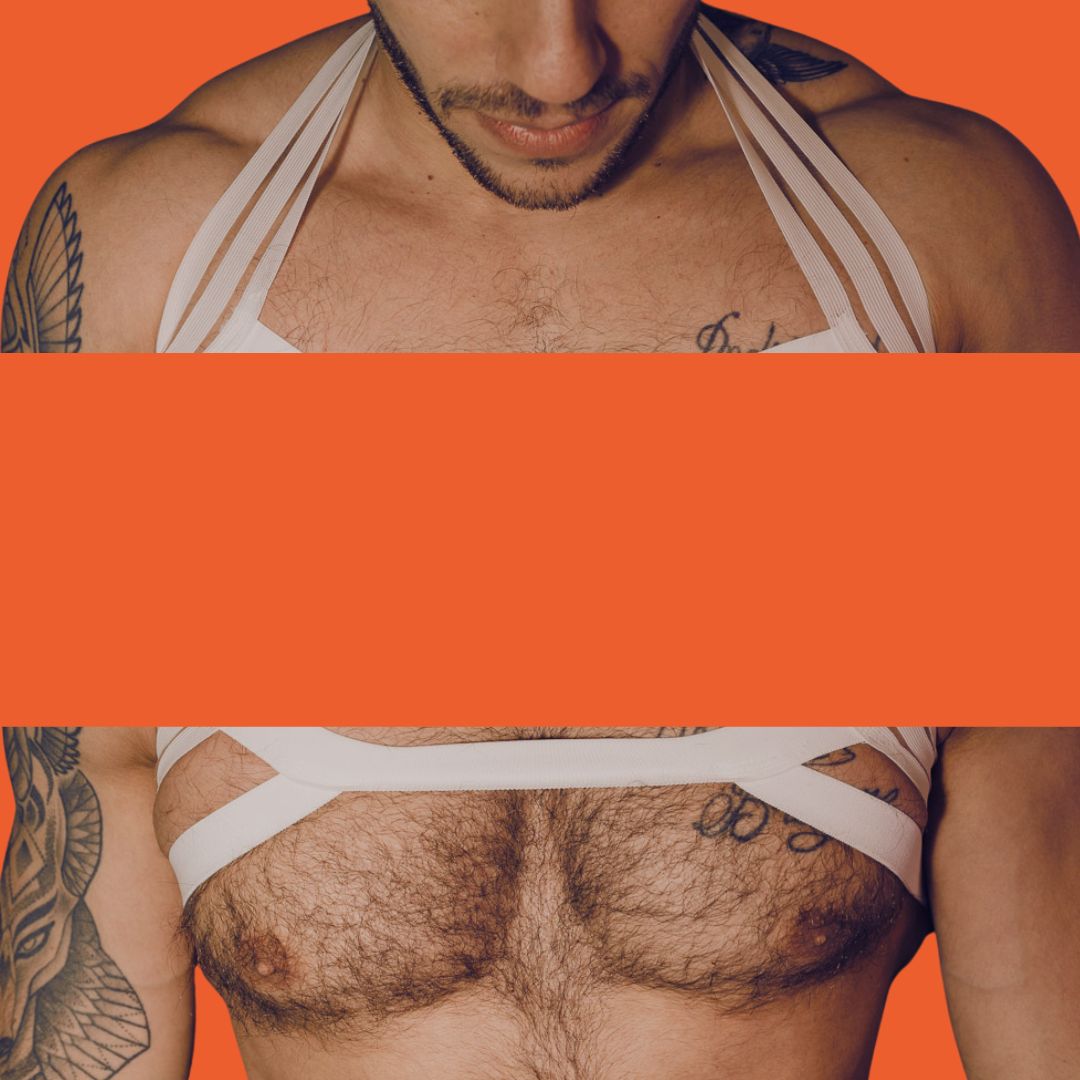 Harness